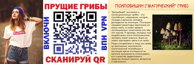 дарнет шоп  сайты даркнета какой сайт  Псилоцибиновые грибы MAGIC MUSHROOMS  Азов 